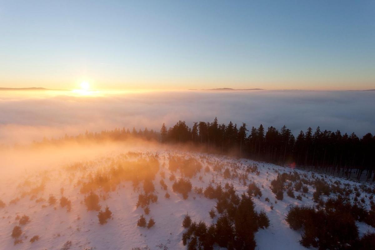 Family Home With Sauna, 12P * Winterberg